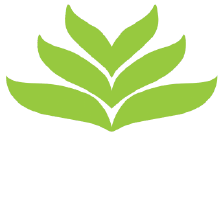 Infusio Logo