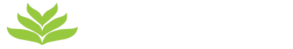 light logo