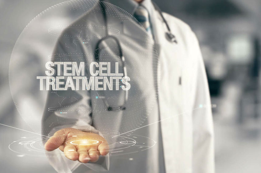 Five Types of Stem Cells and Where They Come From